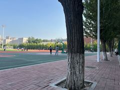 -东北大学(南湖校区)