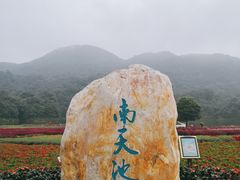-广州市石门国家森林公园