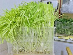 -尤素福东举院饺子馆