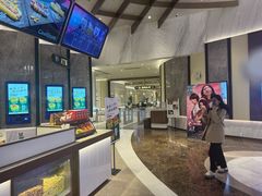 -英皇电影城(平安金融中心IMAX激光店)
