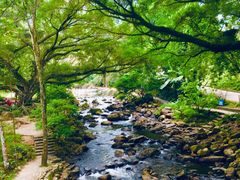 -广州市石门国家森林公园