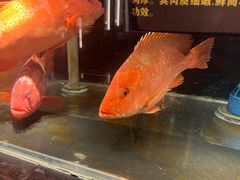 -璞御·海鲜·雪花牛肉局(宾水西道店)