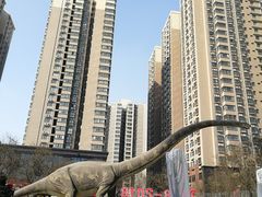 -陕西自然博物馆