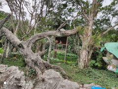 -深圳野生动物园