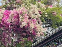 -深圳国际园林花卉博览园