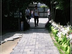 -王家大院