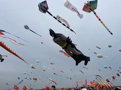 -潍坊滨海云门国际风筝放飞场