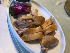 天然白斩鸡-碧丽宫大酒店(召稼楼店)