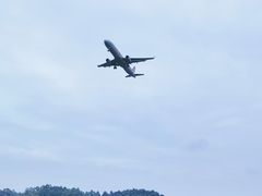 -空港花田景区