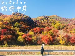 -龙道沟景区