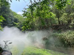 -北京西山国家森林公园