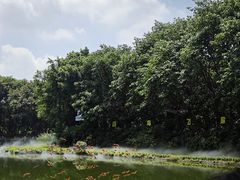 -广州长隆飞鸟乐园