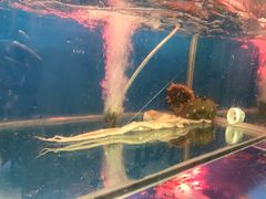 -臻鲜燕海鲜融合餐厅(金陵style店)