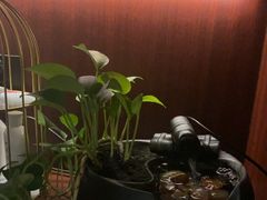 -聆耳·采耳·按摩·SPA(会展中心店)