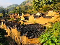 -杨家堂村