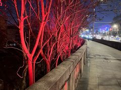 -郑记•不夜城烧烤•龙虾•虾蟹(黄鹤楼店)