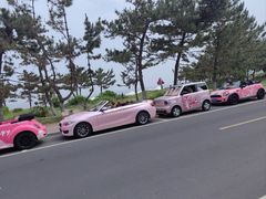 -威海国际海水浴场旅游区