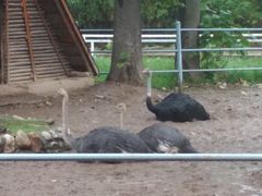 -西安秦岭野生动物园