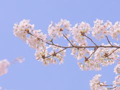 -上海辰山植物园