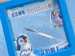 -重庆欢乐海底世界