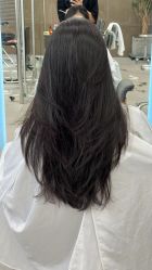 -BOF HAIR BY HONTO