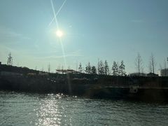 -运河游船(武林门码头)