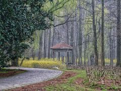 -上海共青森林公园