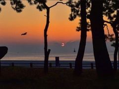 -海云台海滩