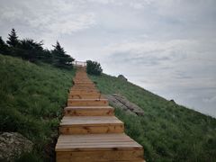 -白草畔自然风景区