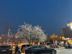 -呷哺呷哺(丰科万达店)