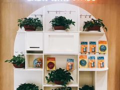 -金宝贝早教中心(北洋校区)