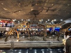 -国家自然博物馆