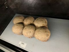 -湖南省地质博物馆