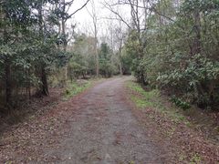 -上海海湾国家森林公园