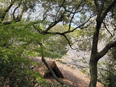 -中国茶叶博物馆(双峰馆区)