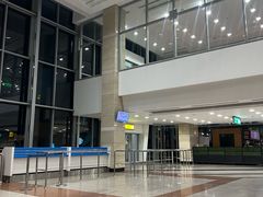 -开罗国际机场