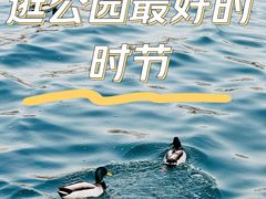 -北海公园