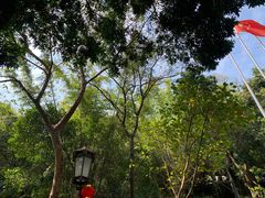 -广州市白云山风景名胜区