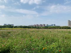 -尚贤河湿地