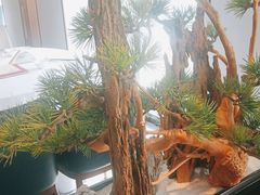 -顺峰(农展馆店)