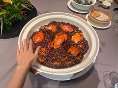 -遇外滩(BFC外滩金融中心店)