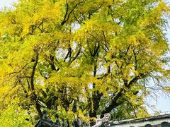 -潭柘寺景区