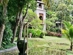 -四季酒店下午茶