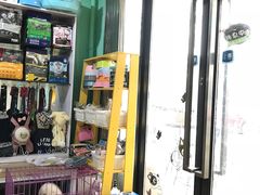 -喵宠乐园·撸猫互动·猫舍