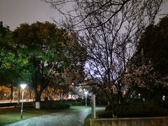 -玉山公园