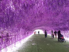 -绿野森林乐园冰雪季
