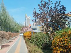 -长白岛森林公园