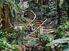 -正佳雨林生态植物园