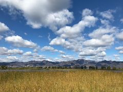-野鸭湖国家湿地公园