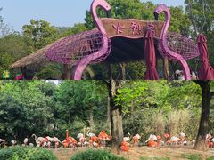 -上海野生动物园
